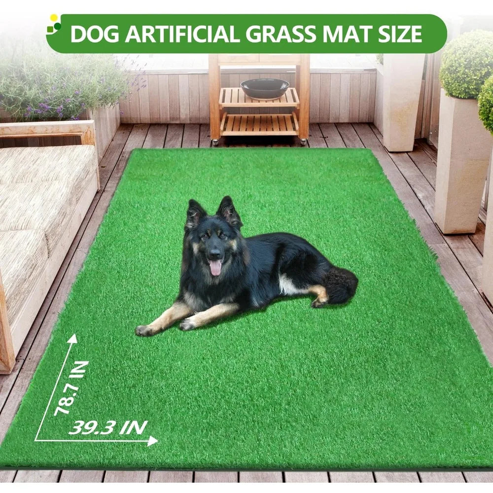 Artificial Grass Turf for Dogs Indoor Outdoor 
 for Dogs Potty